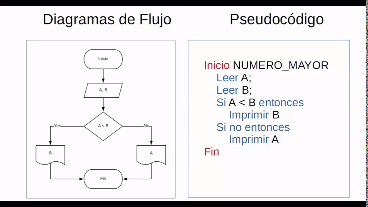 ¿Cuáles son los fundamentos de la programación?