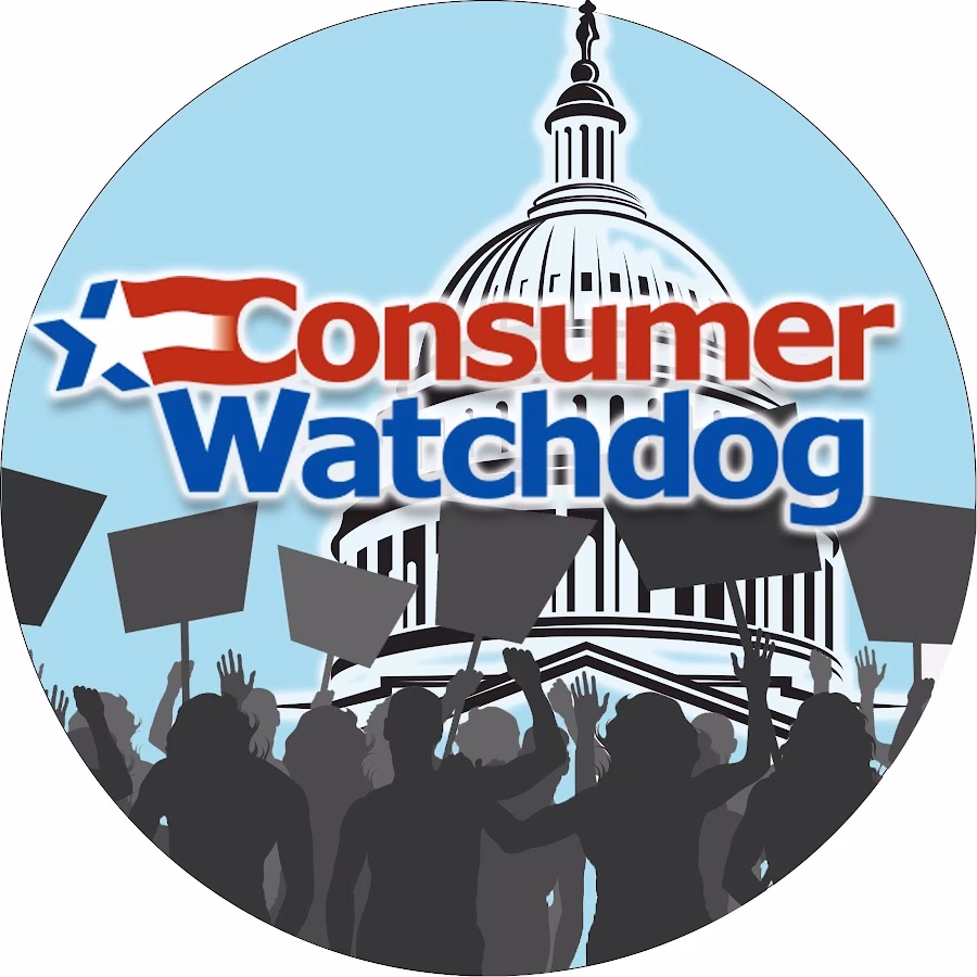 What is Consumer Watchdog & consumption tax?