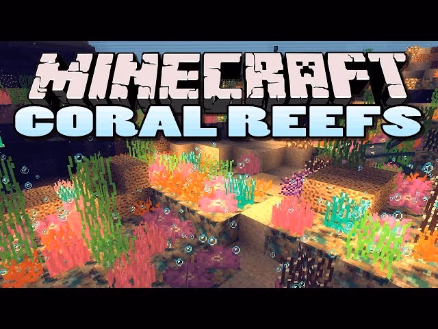 Will coral die when outside of water?