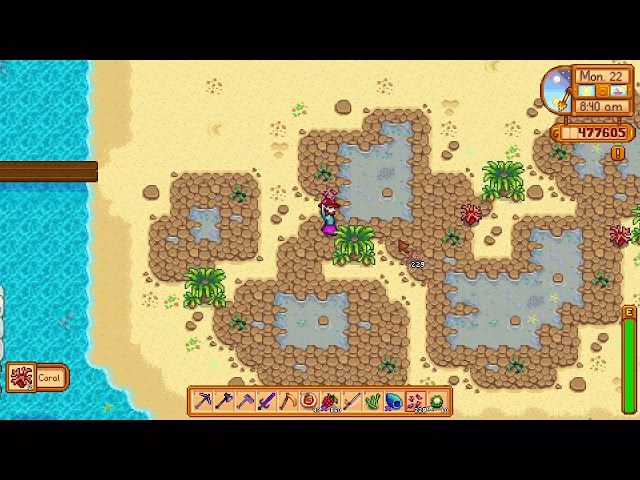 Where can I find coral?