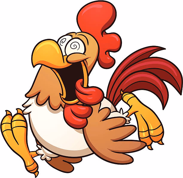 What is the experience like at Crazy Chicken?