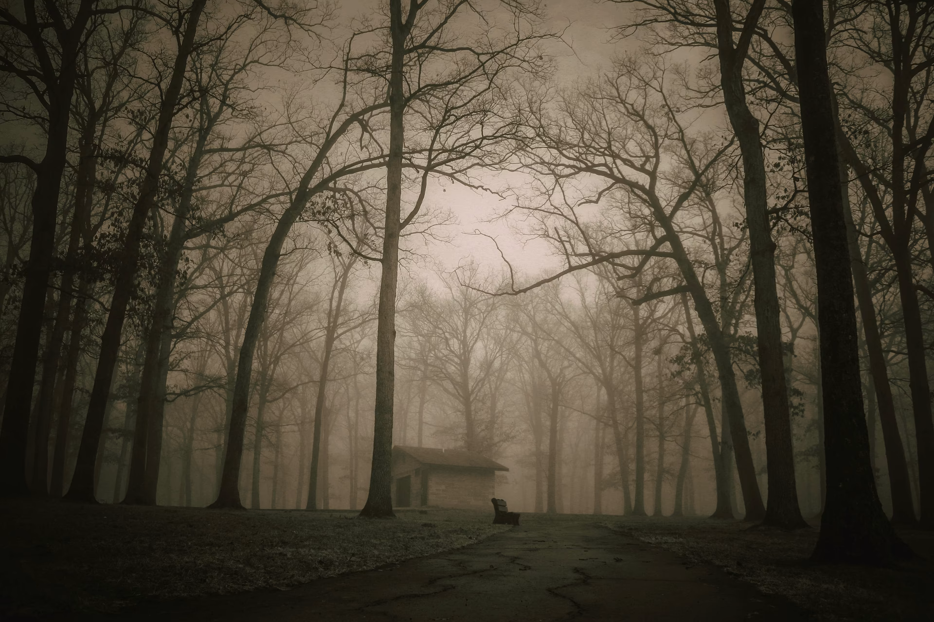 Do Scary forests exist?