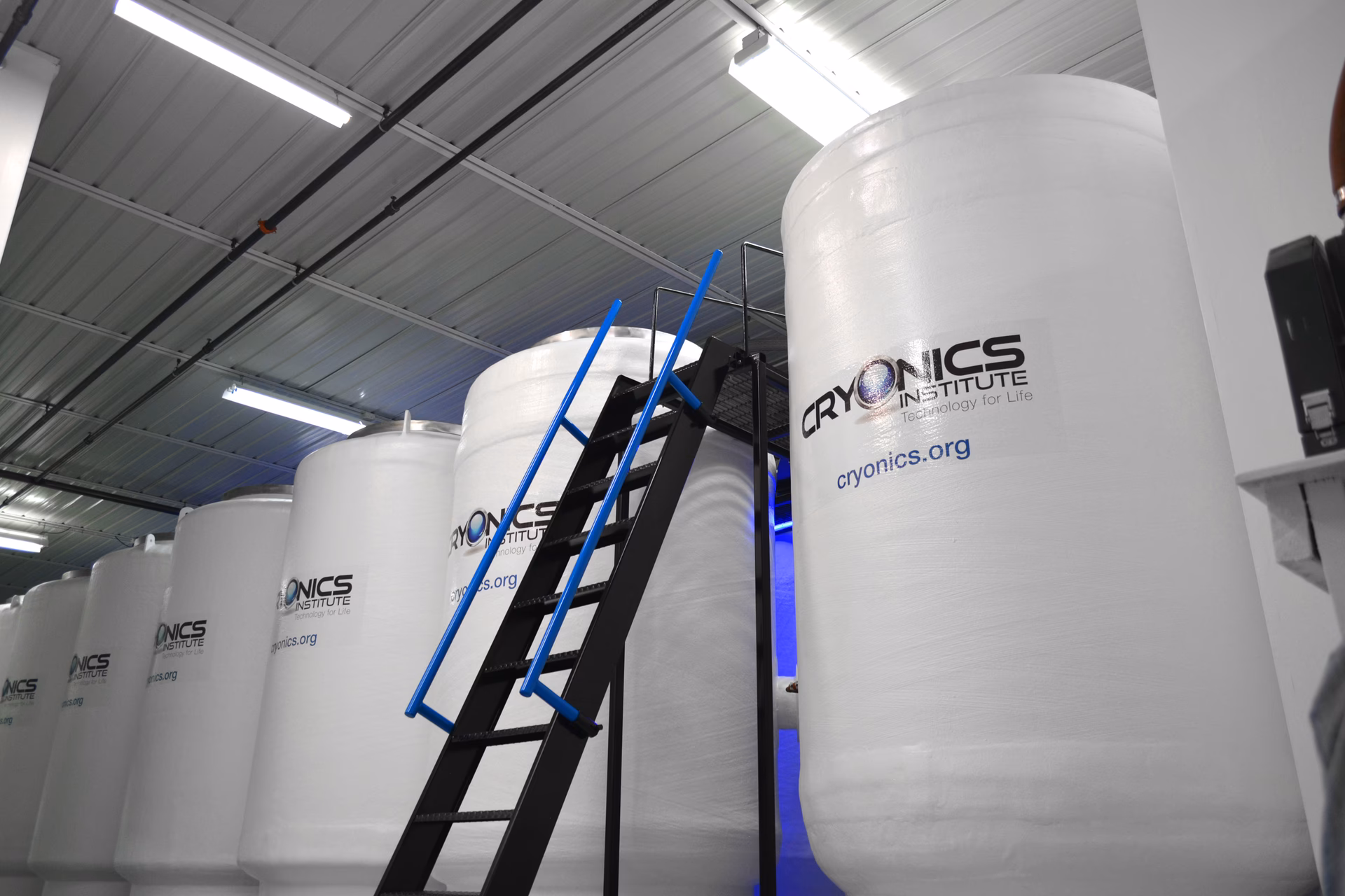 What is cryo stasis?