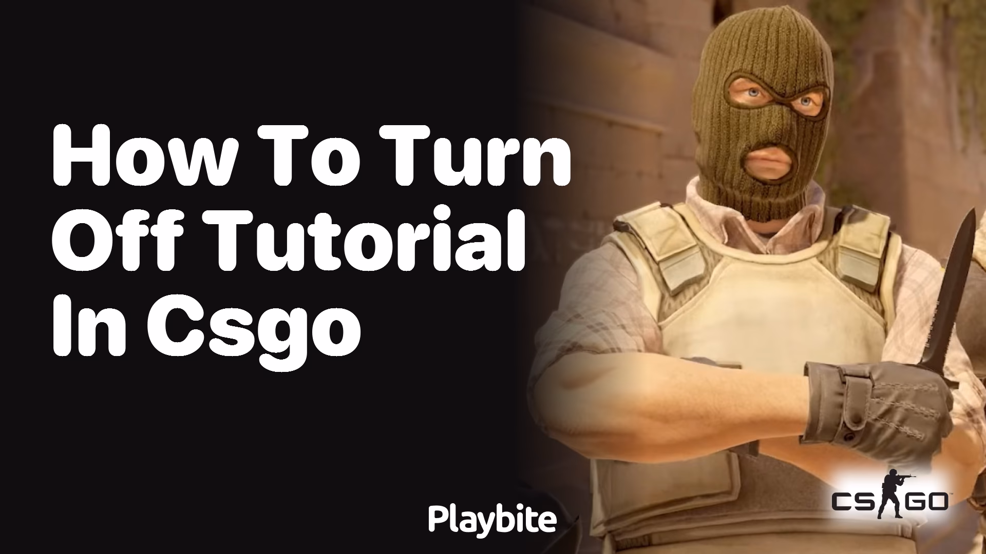 How do I use CS:GO with the CSGO\_triggerbot?