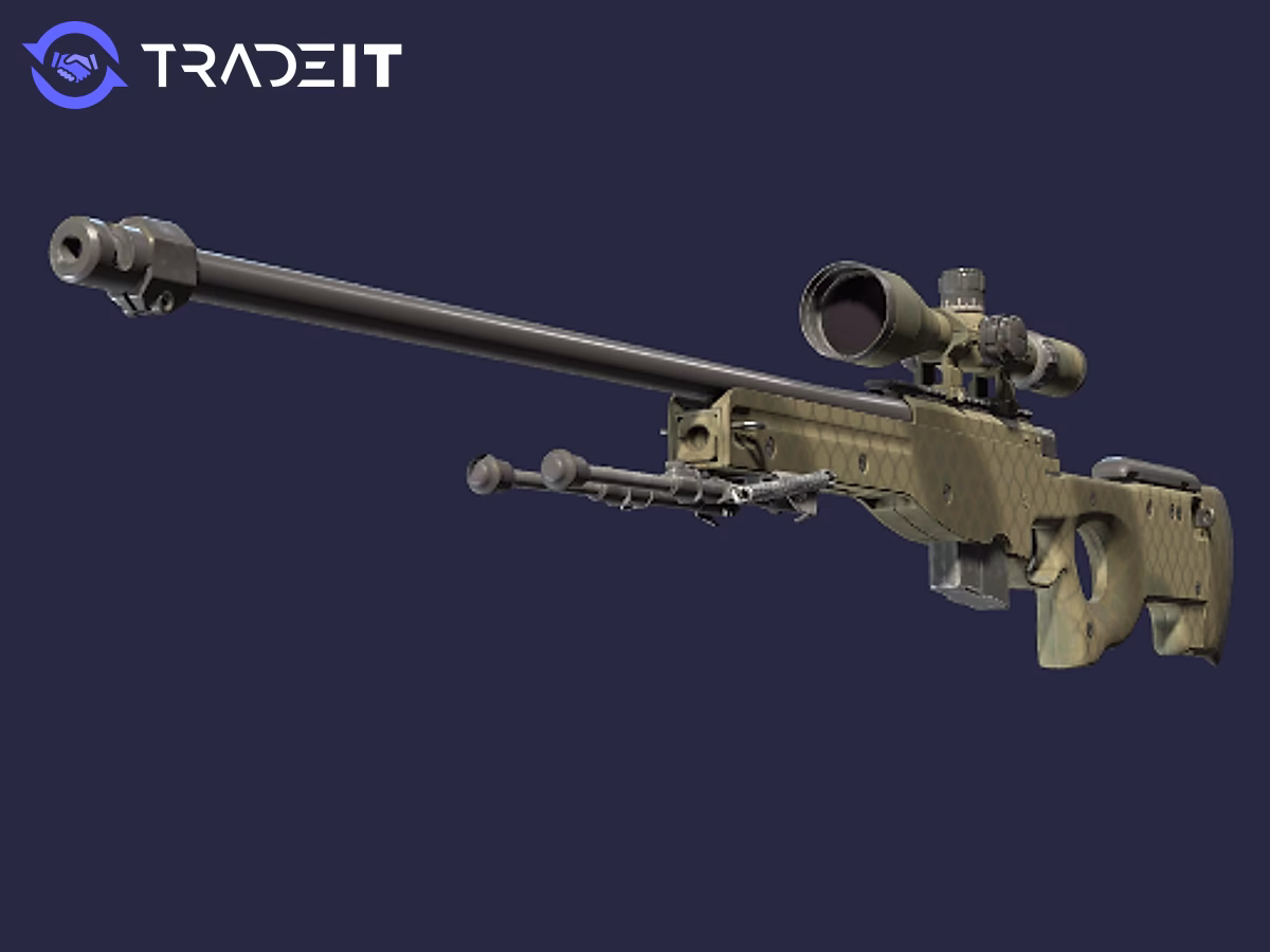What is AWP Safari mesh CSGO?