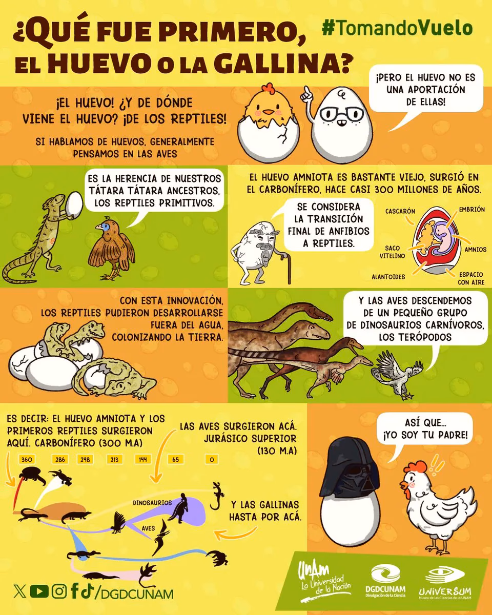 ¿Por qué se dice primero en primero plato?