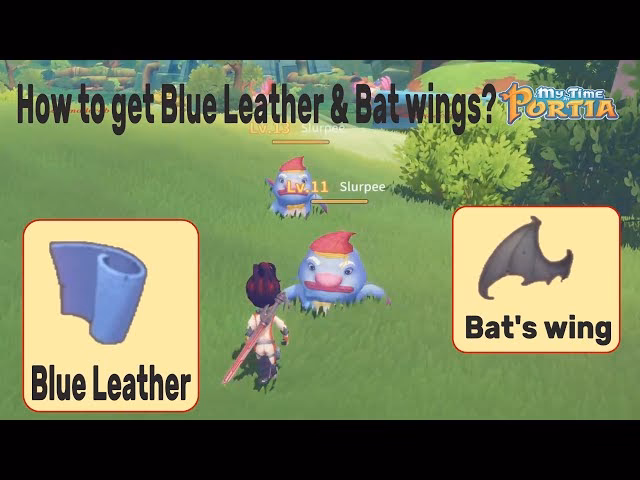 What to do in Portia?