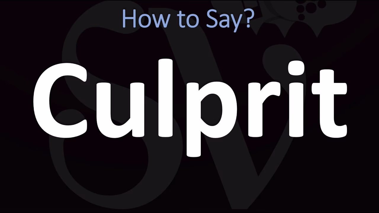 What does culprit mean?