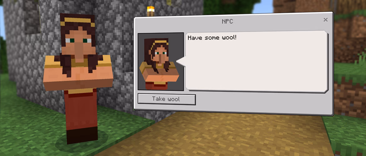 What is customnpc+ & moreplayermodels+?