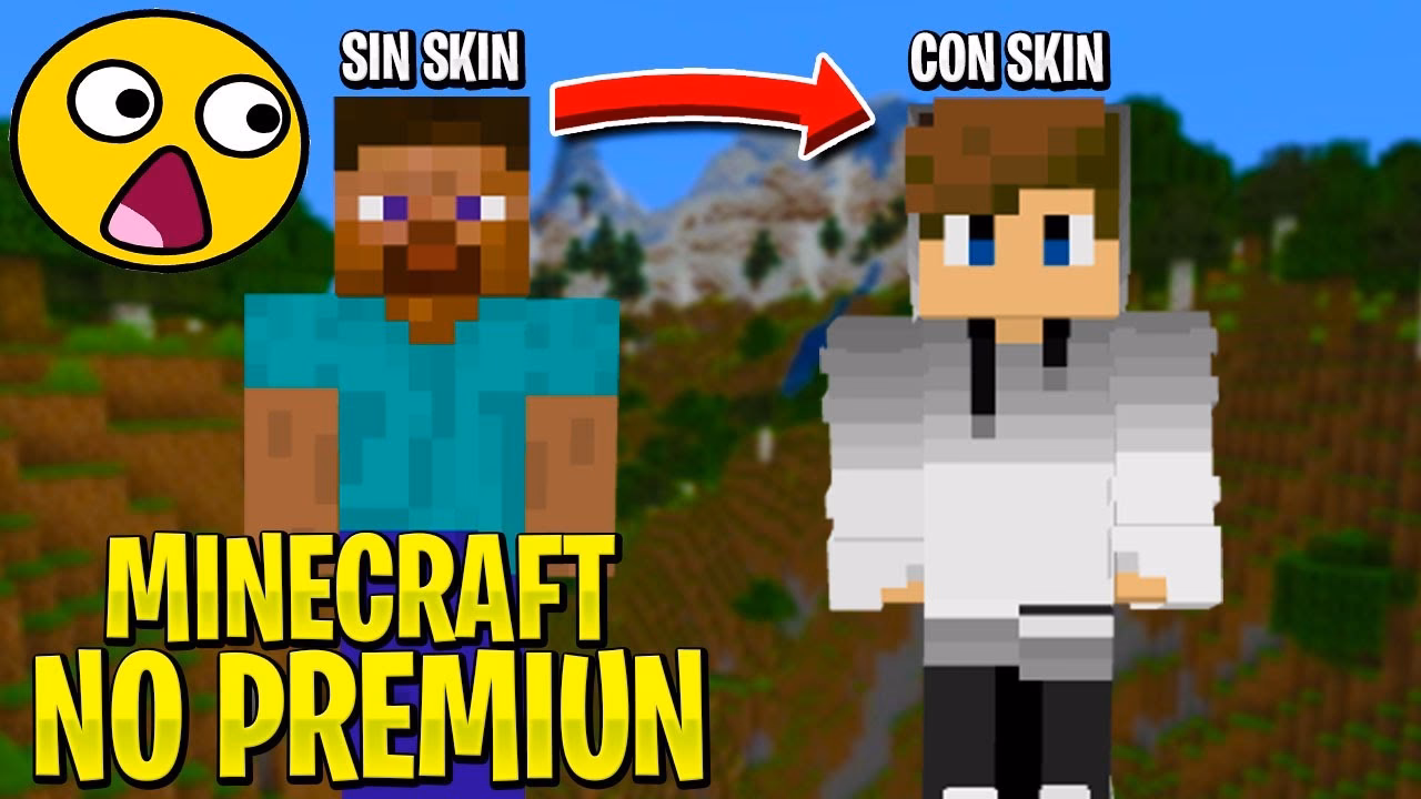 What is customskinloader?