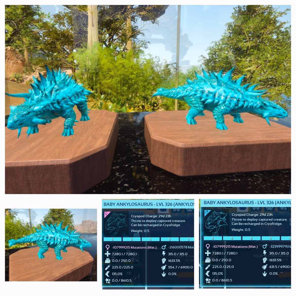 What is cyan coloring in Ark Survival Evolved?