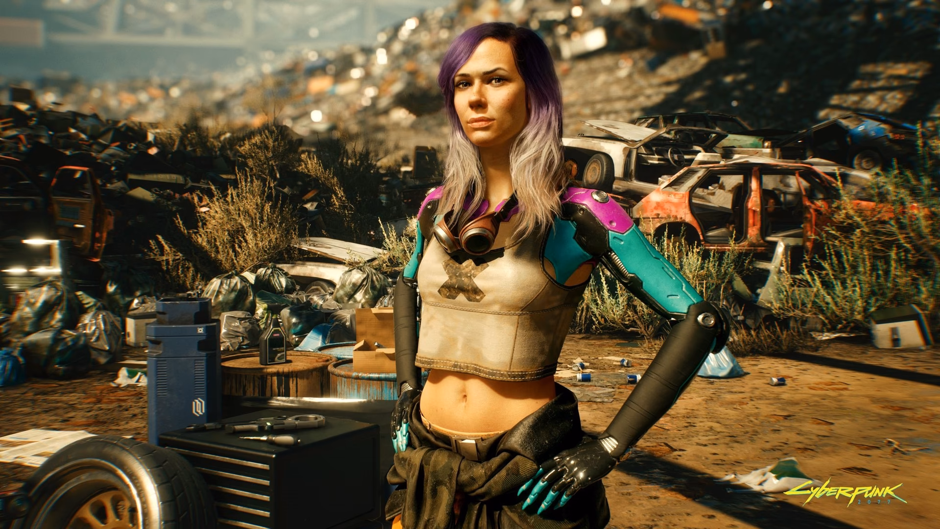 What is Cyberpunk Red Nexus?