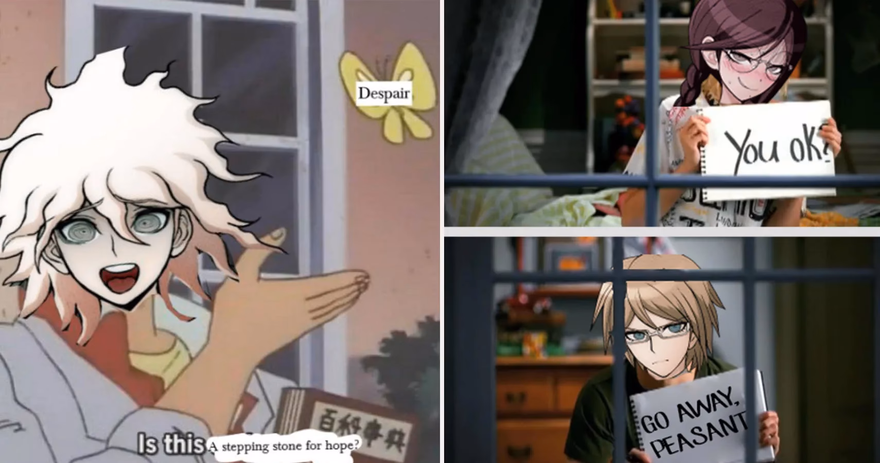 What is the Danganronpa Another Episode category?
