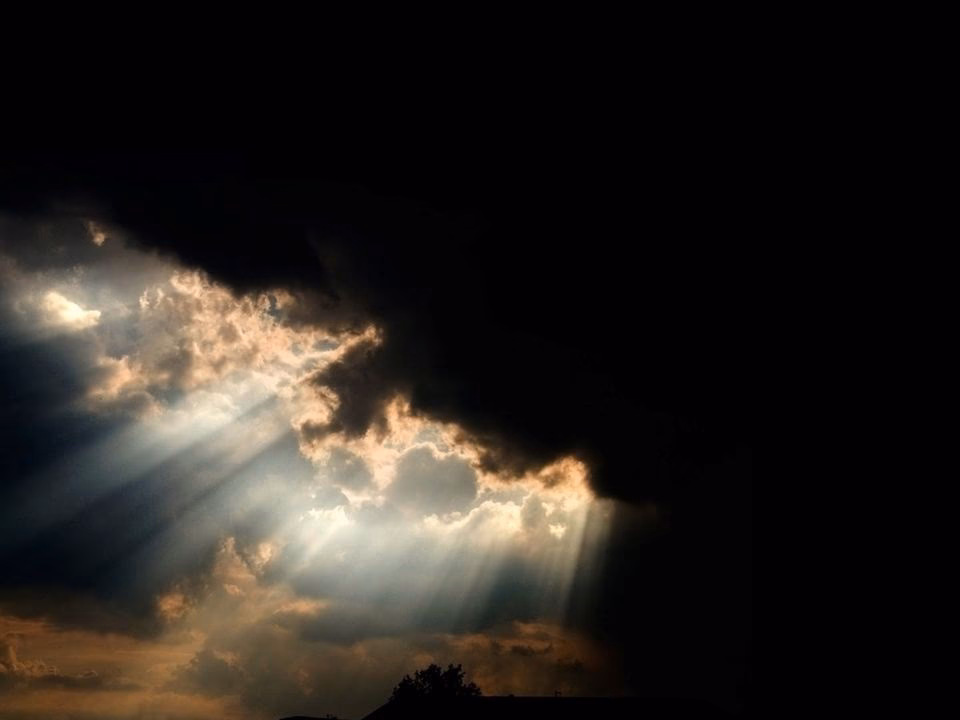 What's new in dark and light?