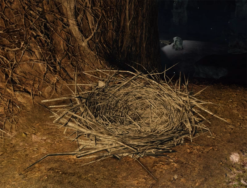 Where can I find a bird nest in Dark Souls 3?