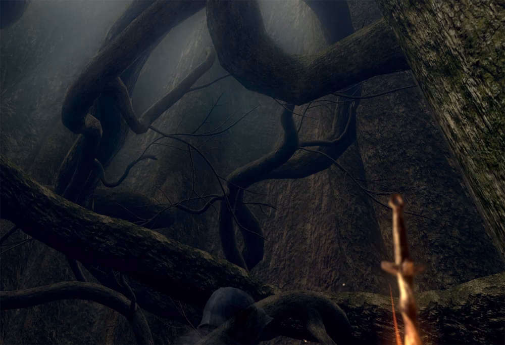 Is there a Dark Souls community?