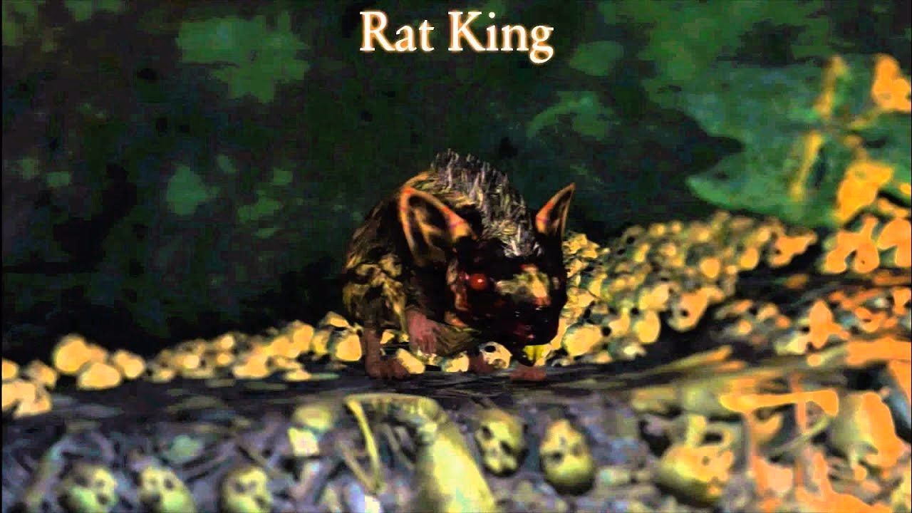 How do you get a rat king?