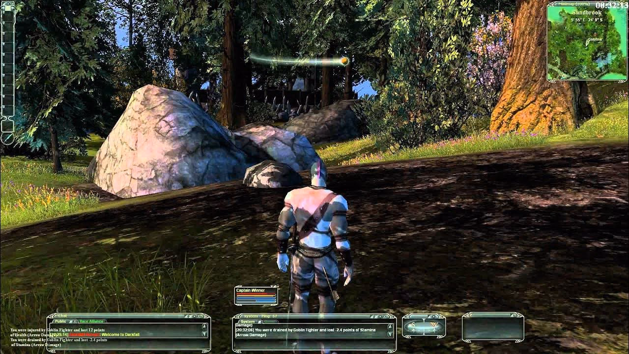 Who makes Darkfall Unholy Wars?