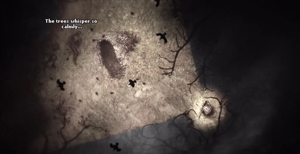 What is Darkwood?