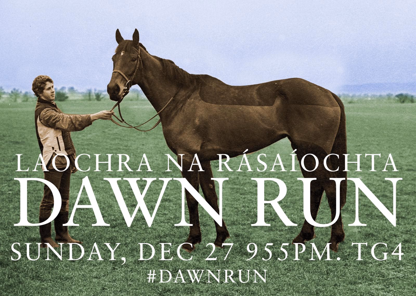Who owns Dawn Run?