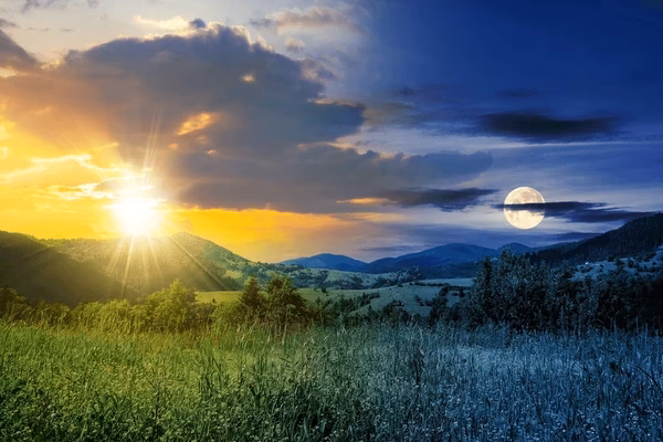What is the difference between day and night images?