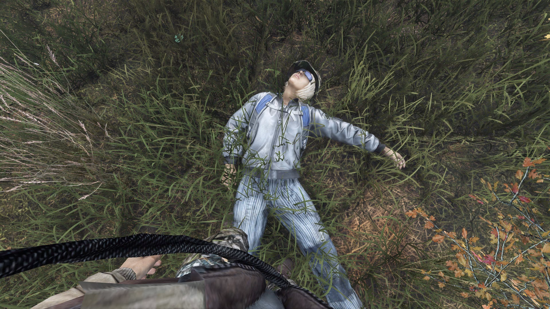 What's so bad about Dayz?