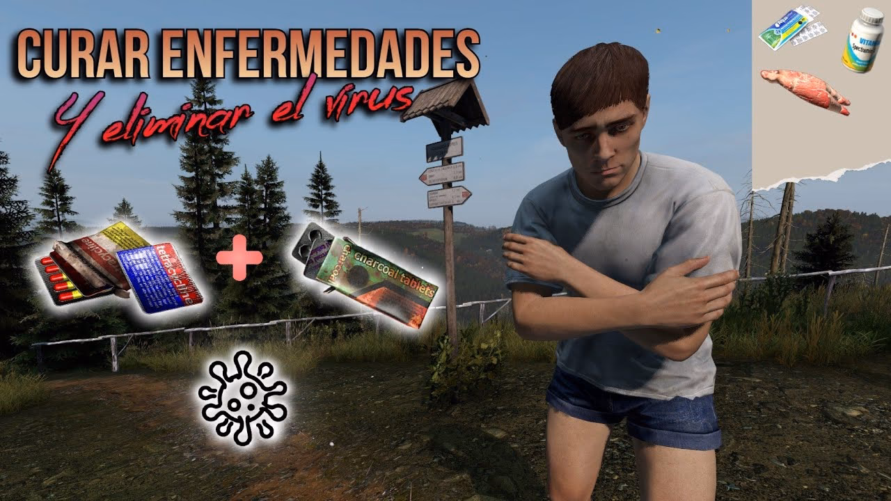 ¿Cuál es la guía médica para el DayZ?