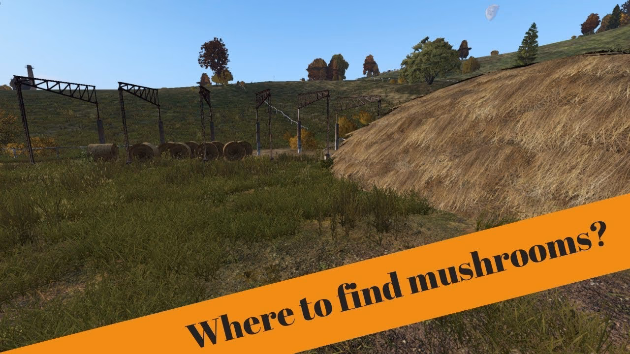 Are fruit and mushroom spawns dynamic?