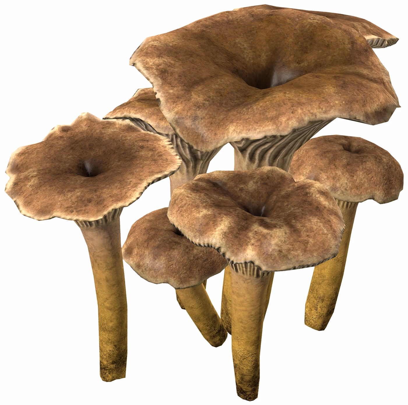 What is a mushroom in DayZ?