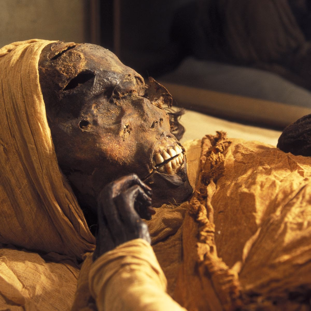 Did a pharaoh die in Egypt?
