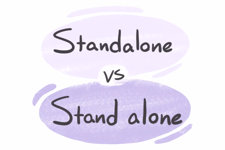 ¿Qué es una empresa standalone?