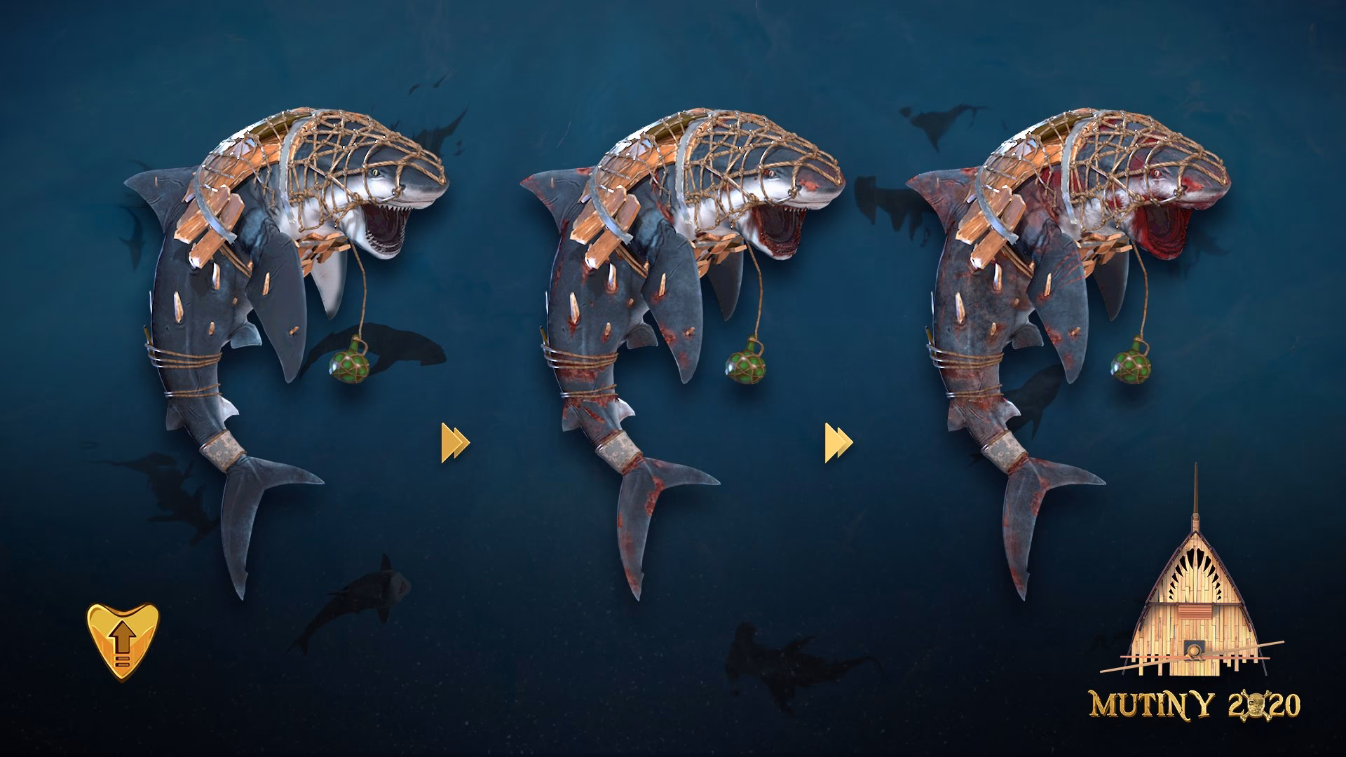 What is a bull shark?