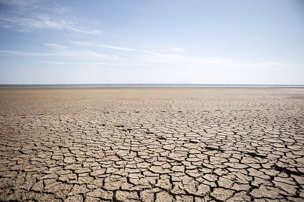 What happens in the desolate desert?