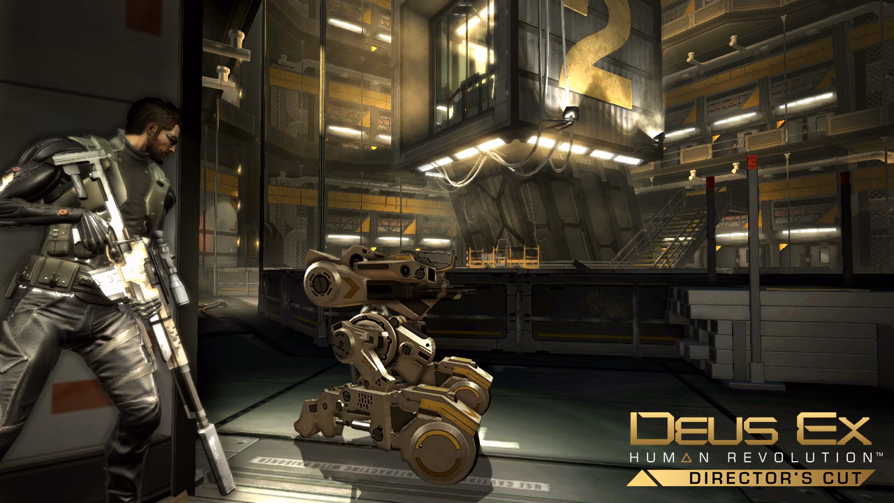 Can I play Deus Ex - Director's cut on Linux?