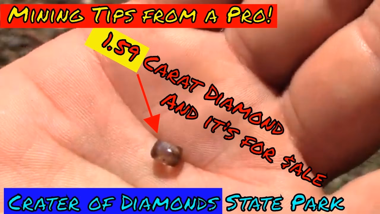 Which animals can make diamond?