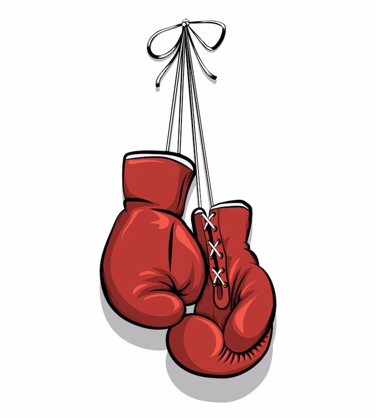 ¿Cuáles son los objetivos de enseñanza del boxeo?