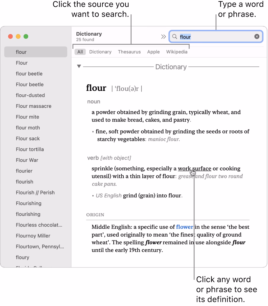 What is a macOS Dictionary & how does it work?
