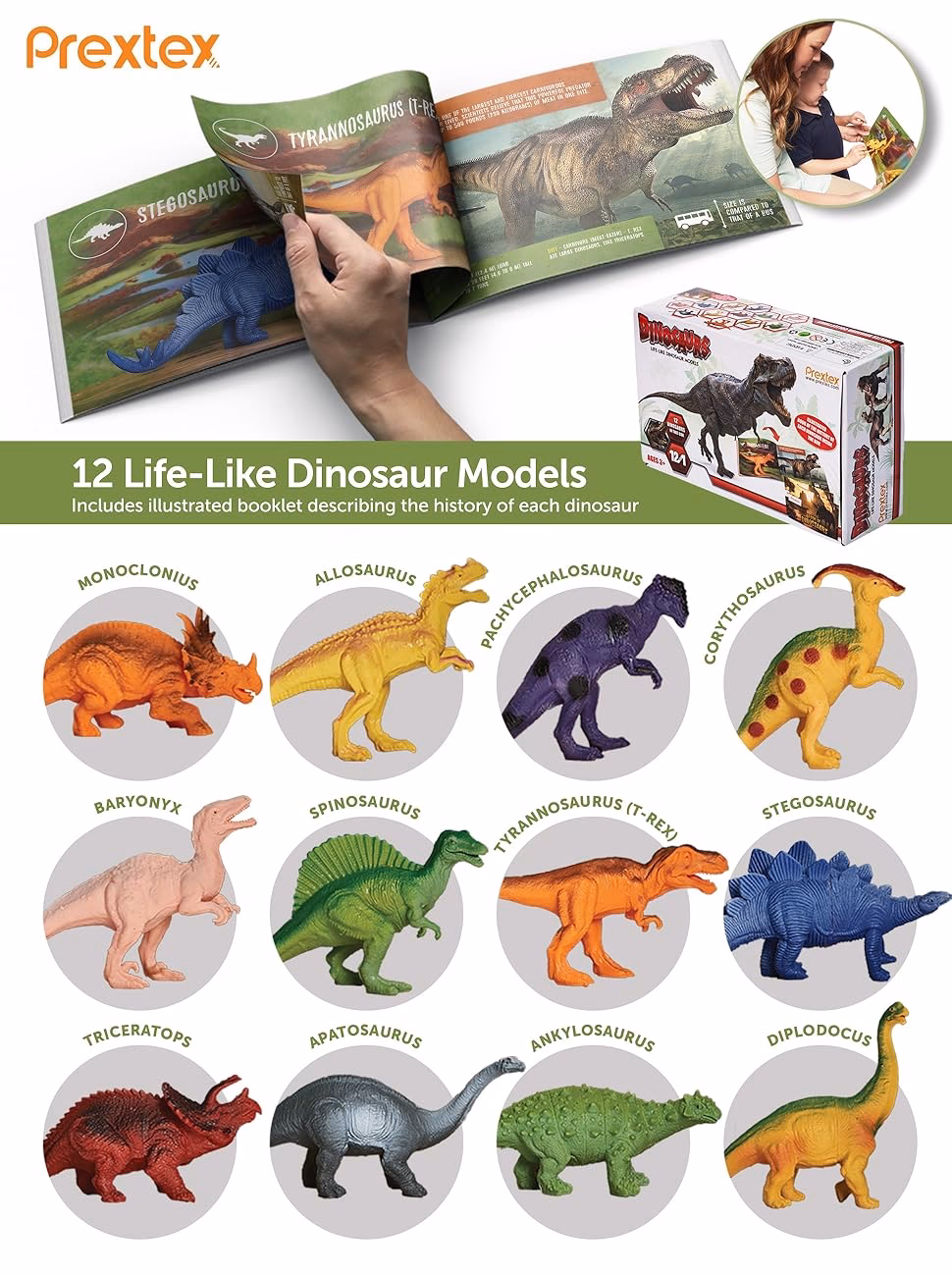 ¿Qué equipamiento se recomienda para ver restos de dinosaurios?