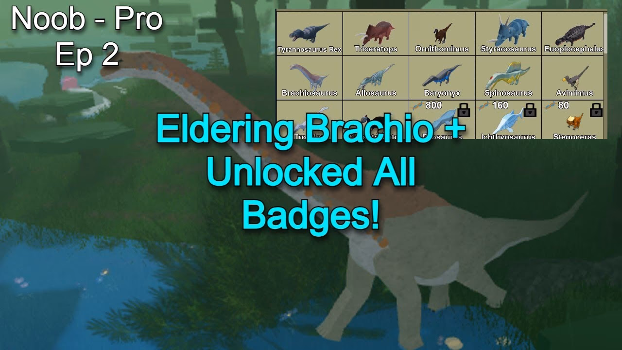 What are badges used for?