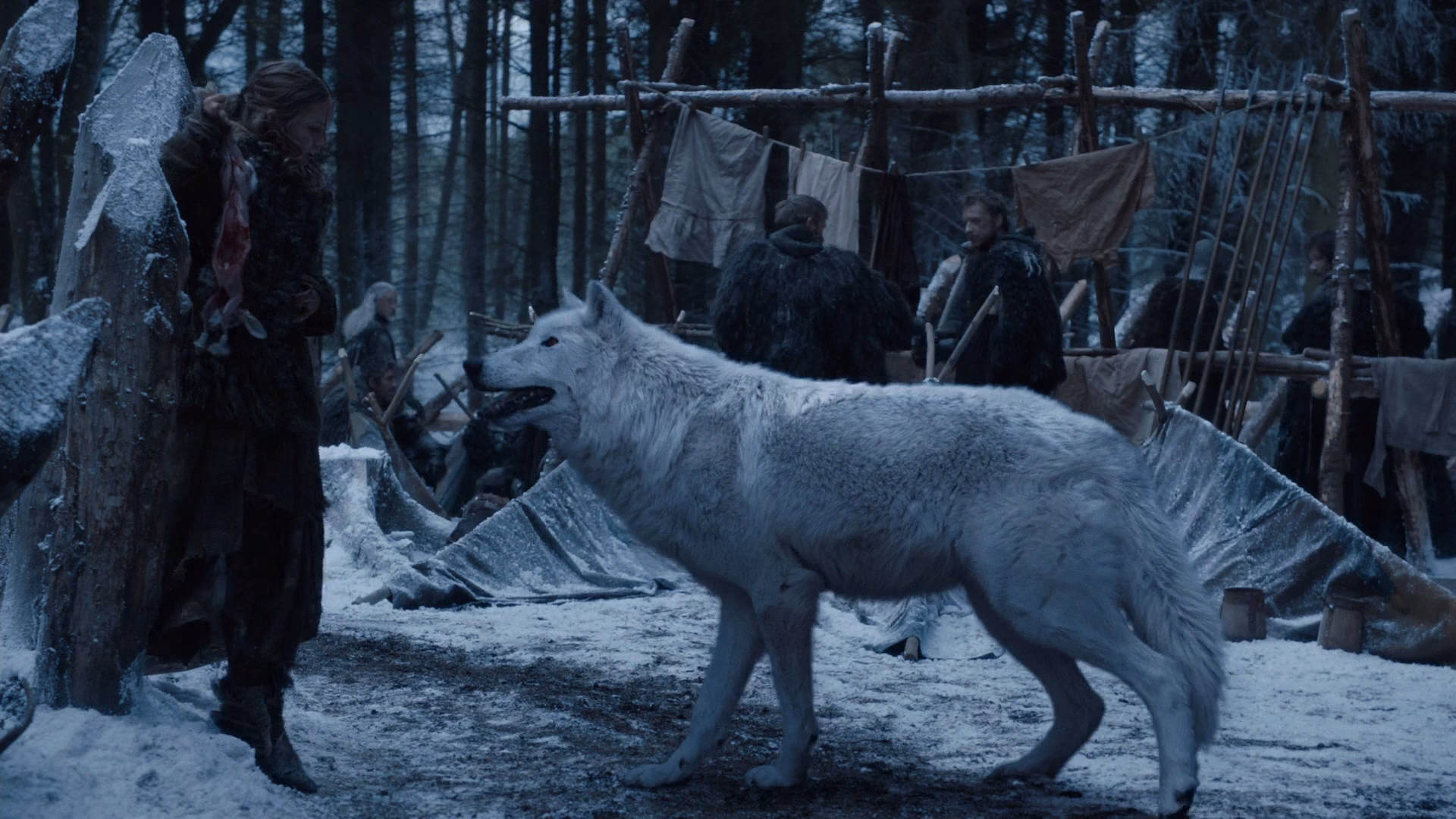 What is a direwolf in game of Thrones?