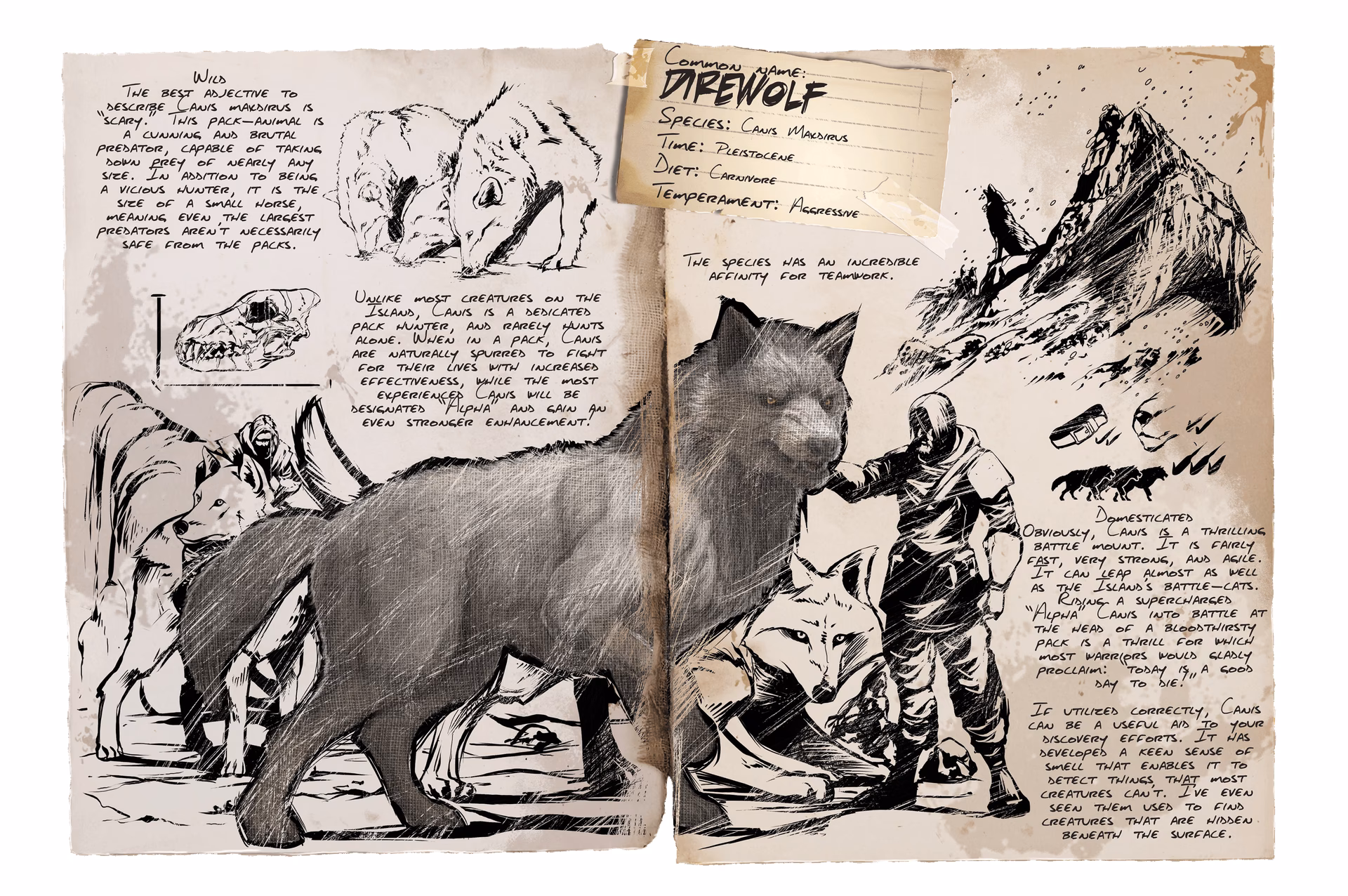 ¿Qué son las historias de DeWolff?