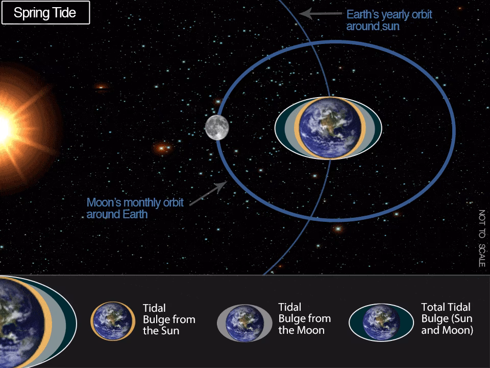 How far away is the Moon from the Sun?