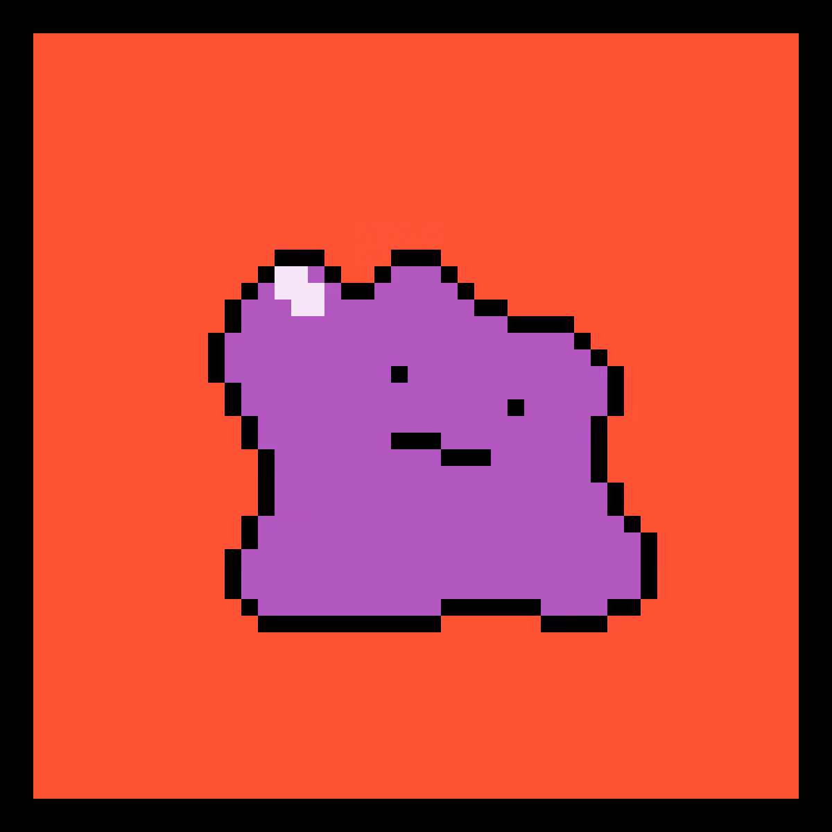 What is Ditto conga?