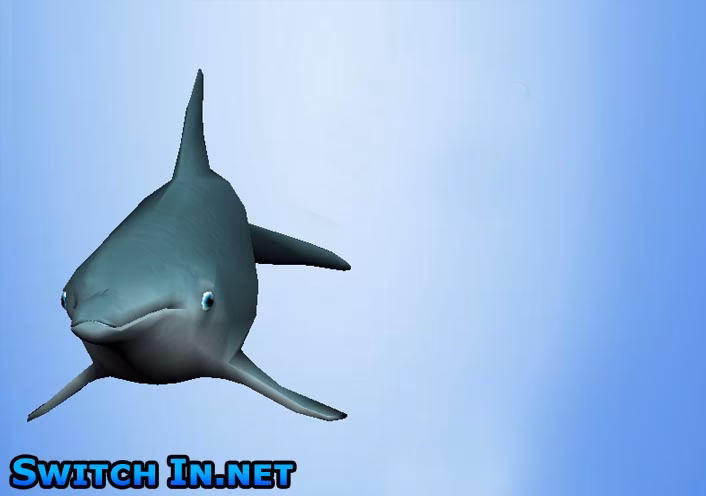 Is world of diving a multiplayer game?