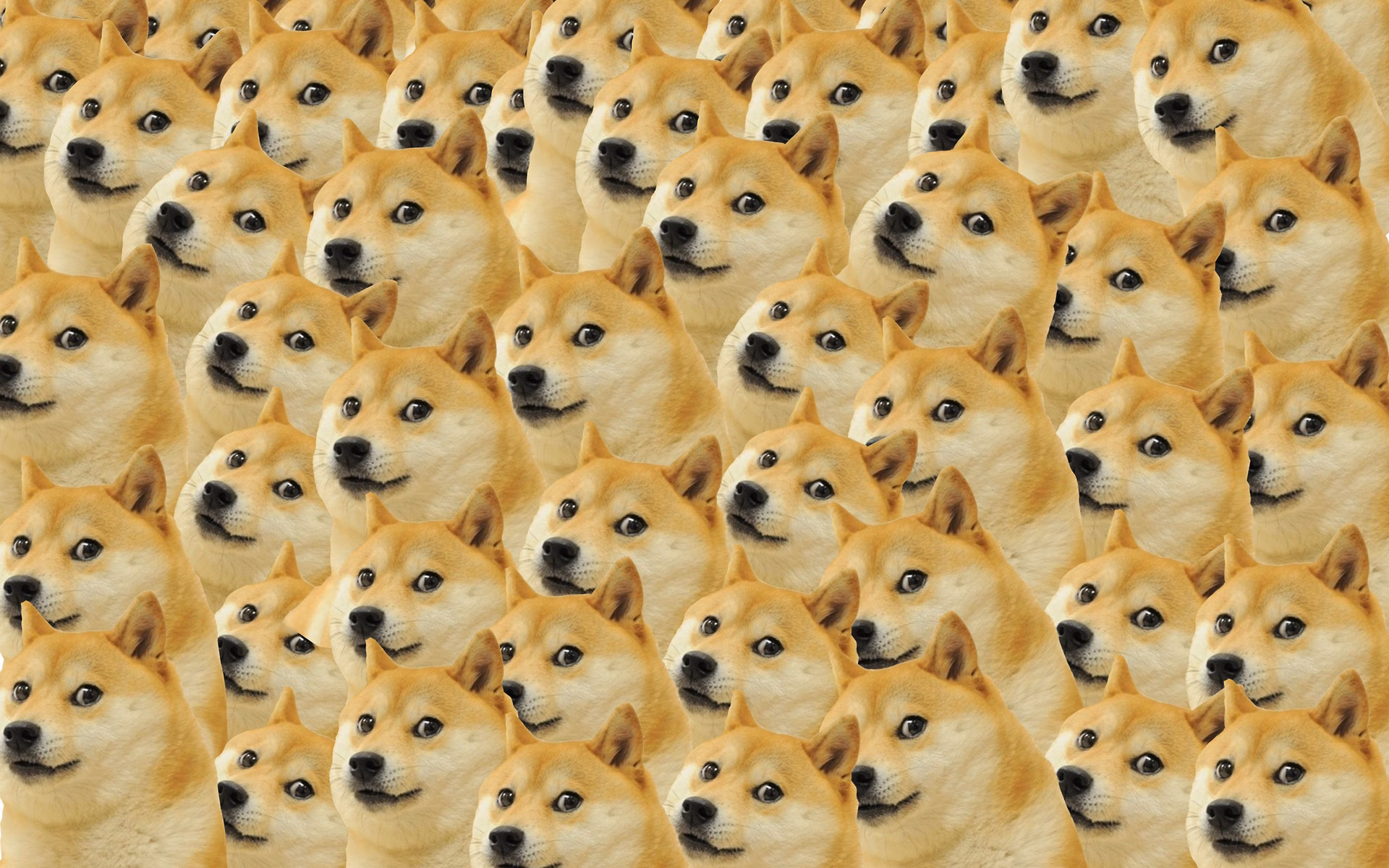 How to make a Doge wallpaper?