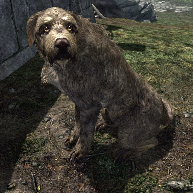 Does Skyrim have pets?