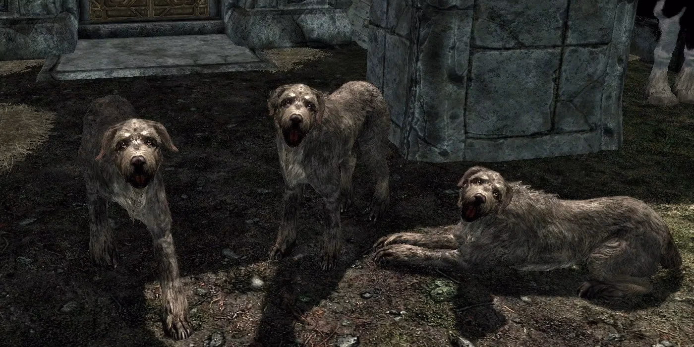Does Skyrim have pets?