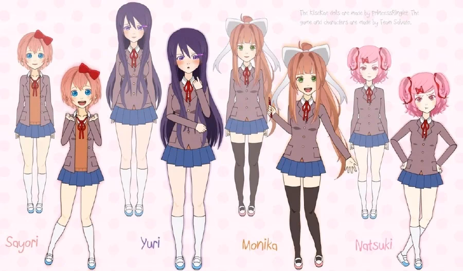 What is a 'team Doki' category?