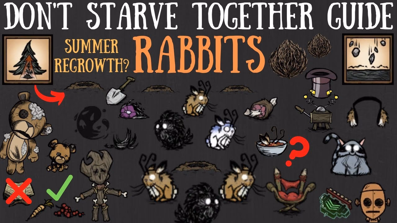 Where can I find a rabbit in Don't Starve?