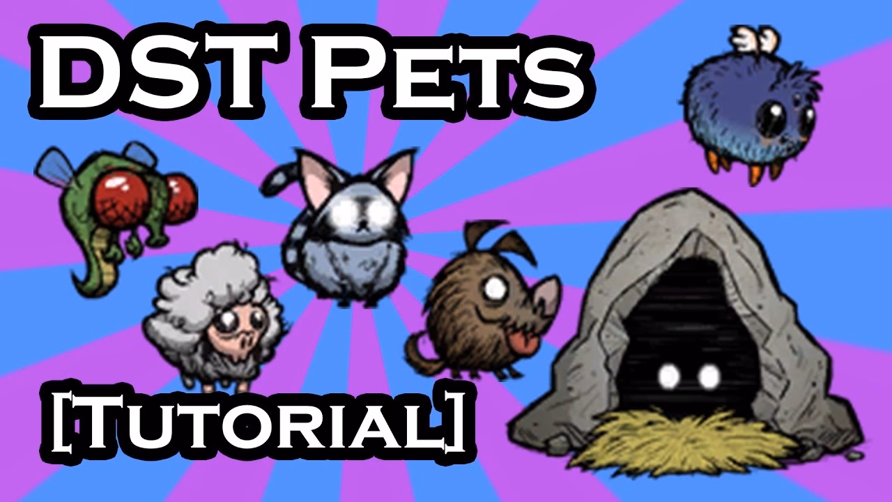 What is the Critters filter in Don't Starve Together?